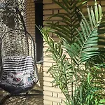 Apartamento Terrasa De Mercado Valencia