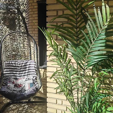 Apartamento Terrasa De Mercado Valência